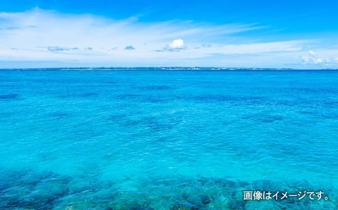 しゃぶしゃぶ用 沖縄県産極太もずく モズク 太もずく しゃぶしゃぶ 国産 沖縄市 / 合同会社沖縄直販[BCDM004]