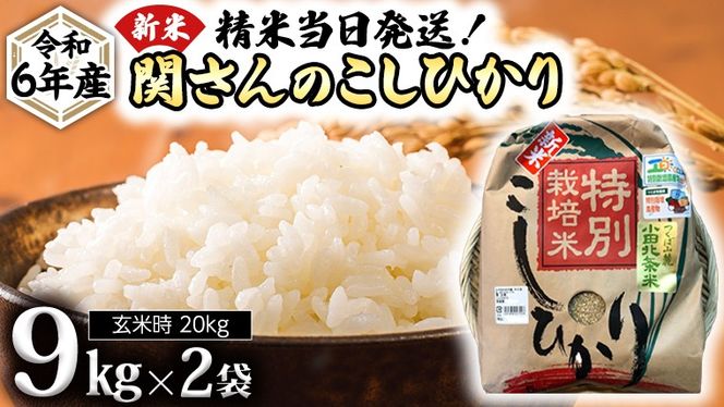 送料込み・令和6年産玄米20K・北条米・減農薬栽培米・農家直販