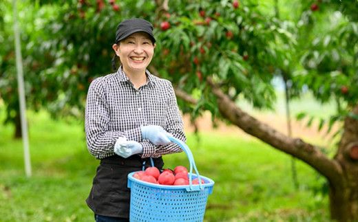 サマークリスタル 約2.6kg ［おぶせファーマーズ］先行予約 ネクタリン 果物 フルーツ 冷蔵便 クール便 長野県産 信州産  令和8年産【2026年7月中旬～8月上旬発送】