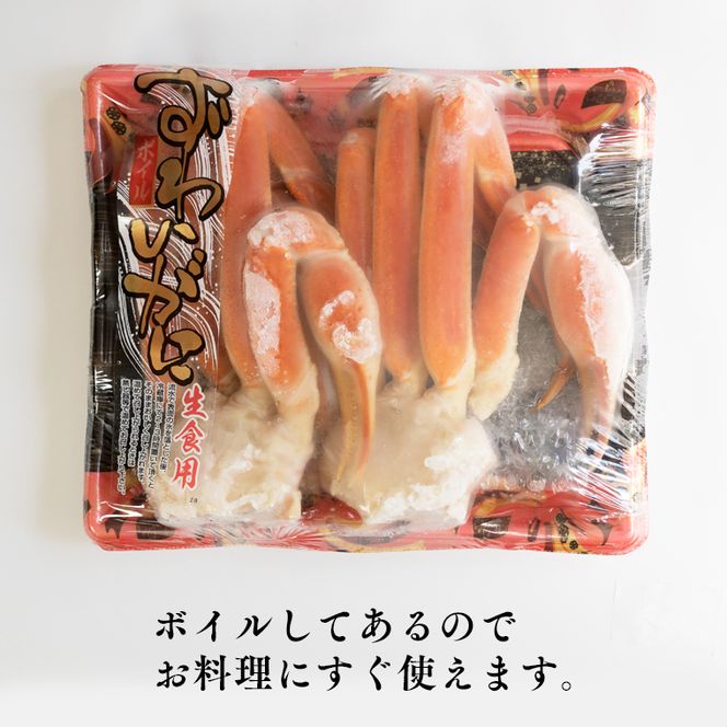 ボイル 本ずわいがに 2肩 500g × 1 カジマ ずわい蟹 ズワイガニ ずわいがに かに カニ 蟹