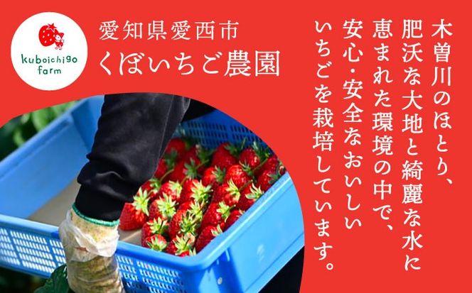 いちごジャム 3本セット 果物 フルーツ 紅ほっぺ いちご 愛西市 / くぼ苺農園 【配達不可：離島】[AECJ022]