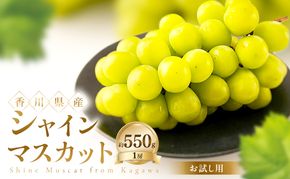 【お試し用】 シャインマスカット 約550g ぶどう ブドウ 葡萄 香川県産 国産 フルーツ 果物
