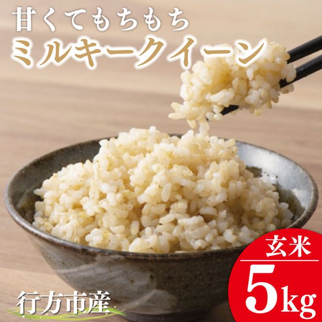 ★令和7年度産★甘くてもちもち ミルキークイーン5kg(玄米)｜米 お米 こめ ミルキークイーン 令和7年産 R7年産 玄米 茨城県 行方市(BR-9)