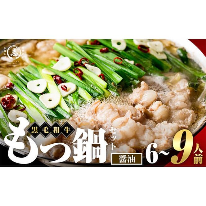 国産黒毛和牛ホルモン もつ鍋セット【醤油味】(6～9人前) a4-122
