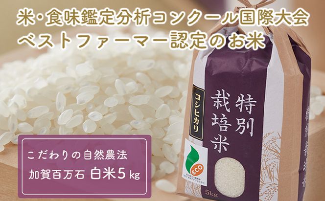  【令和7年度産】加賀百万石特別栽培米コシヒカリ白米5kg 