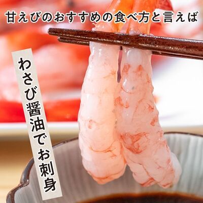 甘えび 子なし 500g 約50尾 越前甘えび えび 海老 刺身 冷凍 魚介 魚介類 海鮮 高評価