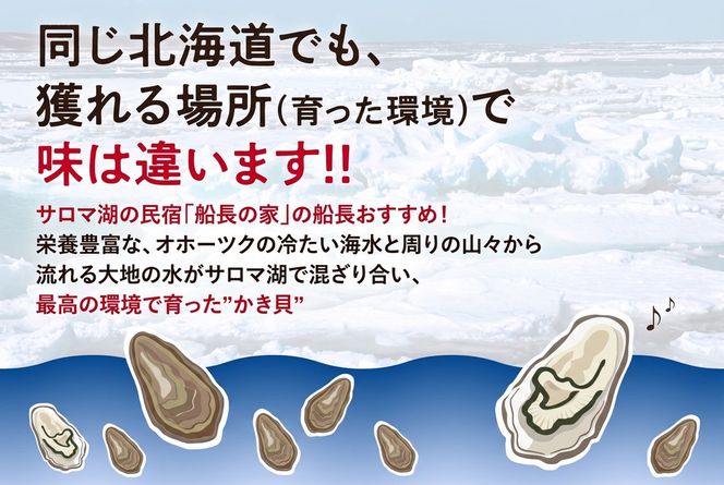 【予約：2026年10月中旬から順次発送】サロマ湖自慢の殻付きカキ貝 大 3kg詰め ( 牡蠣 かき 濃厚 大きい 魚介類 貝類 殻付 殻付き牡蠣 BBQ バーベキュー )【114-0072-2026】