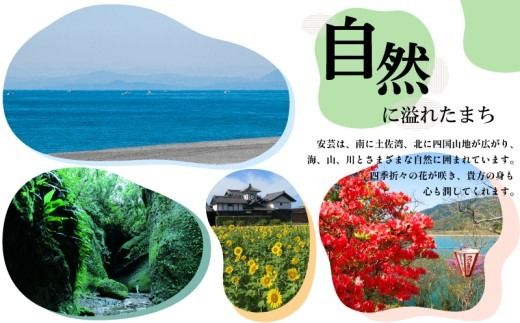 菊水 あらごしりんご 1800ml 1本 あらごし りんご リンゴ 林檎 フルーツリキュール 酒 おさけ お酒 sake 女子会 リキュール 土佐 すっきり ギフト 父の日 パーティ 贈り物 一升瓶 1,800ml 1.8L 菊水酒造 高知県 安芸市