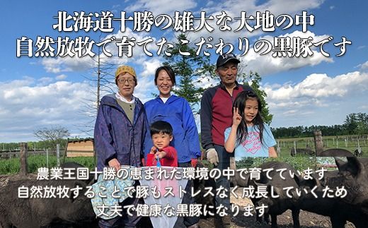 鹿追産　自然放牧黒豚　肉汁たっぷり無添加ハンバーグセット　3ヶ月定期便　150ｇ×10 SKN020