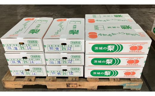 【 2026年9月下旬発送開始 】 茨城県産 梨 新高 （約 5kg ） 6～12玉 フルーツ 果物 なし ナシ 旬 新鮮 甘い 国産 ジューシー みずみずしい 先行予約 [CL005us]	