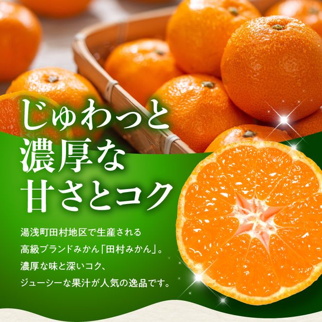 【2026年先行予約】田村みかん 秀品 約 5kg 2Sサイズ 高級ブランド 田村みかん 小玉 みかん 温州みかん フルーツ 果物 柑橘 果汁 ジューシー 赤秀品 青秀品 国産 食品 食べ物 期間限定 お取り寄せ 和歌山県 湯浅町 送料無料_DN6014