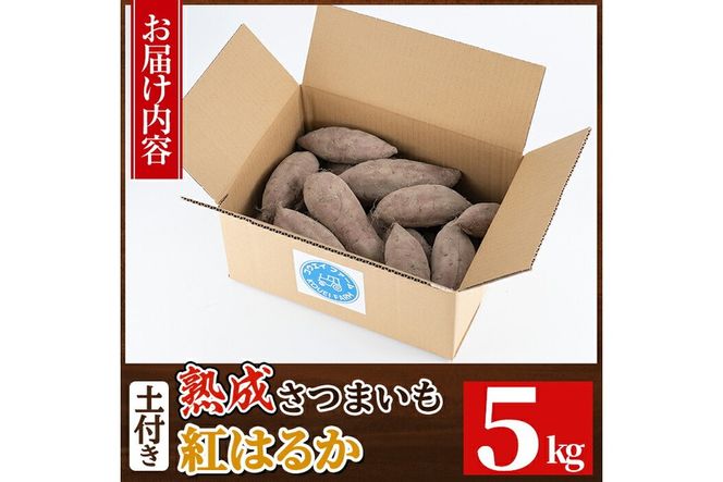 a845 《種類・内容量が選べる》鹿児島県産さつまいも土付き5～10kg(シルクスイート・紅はるか)【コウエイ環境】姶良市 鹿児島県産 さつまいも サツマイモ 熟成芋 さつま芋 シルクスイート 紅はるか 5kg 10kg 生芋