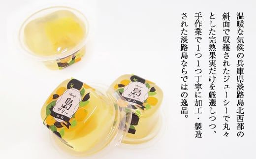 島ゼリー レモン・びわ 10個セット　ゼリー
