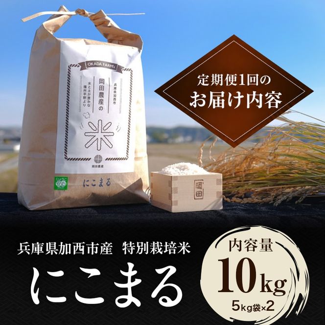 定期便 令和8年産 新米 白米 10kg×3回 特別栽培米 にこまる （ 山田錦 ）　米 お米 こめ コメ 特栽米 10kg 3回 30kg ひょうご安心ブランド ご飯 ごはん ゴハン  精米 兵庫県 加西市
