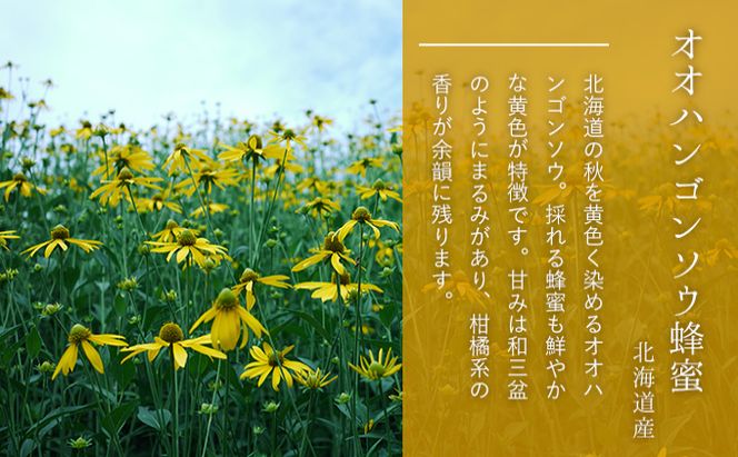 【国産純粋蜂蜜】北海道産 はちみつ食べ比べ  1.37kg (蜂蜜200g×6種＋ハニーナッツ170g)［ナルセ養蜂場］【 はちみつ ハチミツ 蜂蜜 ハニー 健康 美容 料理 純粋 希少 ギフト プレゼント セット 食べ比べ 詰め合わせ 大容量 北海道 十勝 幕別 】 