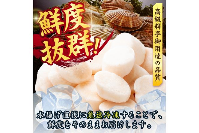 【2027年2月～3月発送】北海道産 ほたて貝柱 500g ( ホタテ ほたて 貝 貝柱 北海道産 玉冷 小分け 急速冷凍 )【241-0024】