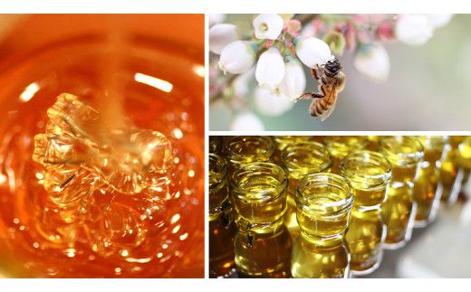 【 数量限定 】山桜 はちみつ と春の 田舎はちみつ の 3種 ギフト セット [ B3山桜 280g ]（ 茨城県共通返礼品： 五霞町 ） 生ハチミツ 蜂蜜 非加熱 茨城県産 国産 天然 純粋 贈答用 [EG002us]