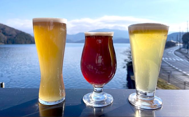 湖上館パムコ共通利用券2枚【宿泊・アクティビティ・その他】 福井県 若狭町