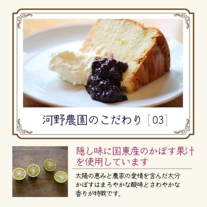 河野農園の無添加ブルーベリーソース150g×5本_1450R