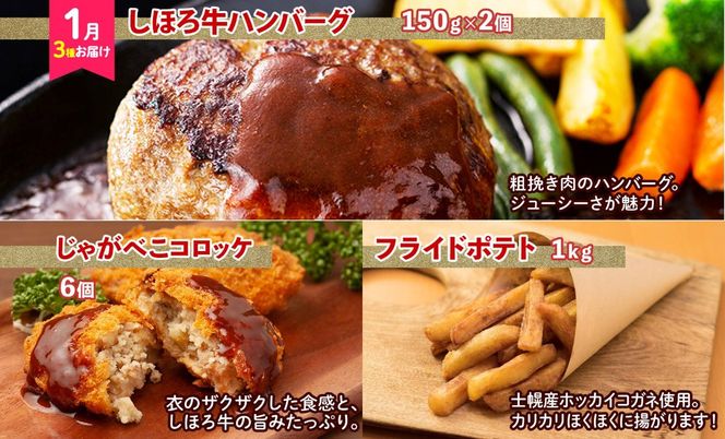 【CF】定期便 北海道 全5回 しほろ牛 サーロイン 牛丼 ハンバーグ コンビーフ ソーセージ ジンギスカン 肉まん 焼売 ポテト メンチ コロッケ アイス  送料無料 十勝 士幌町 【L905】