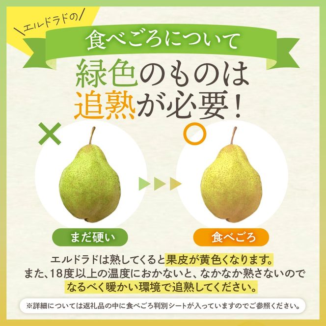 【令和6年産 先行予約】西洋梨エルドラド2kg　秀品　化粧箱入り 山形県 東根市 東根農産センター提供 hi027-145