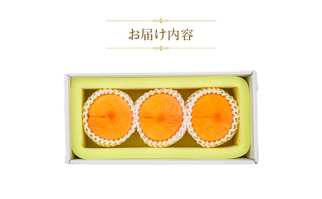 【天満屋選定品】岡山県産 黄金桃（約300g×3玉）2026年発送