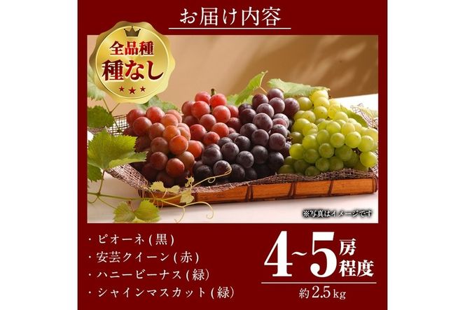 ＜先行予約受付中！2026年9月以降順次発送予定＞宇目葡萄 3種詰め合わせ＋シャインマスカット入り(合計2.5kg・4～5房) ピオーネ 安芸クイーン ハニービーナス ぶどう 種なし 大分県 佐伯市【AY72】【さいき農林公社】