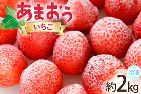 いちご 冷凍 あまおう 約2kg [地域商社ふるさぽ 福岡県 宇美町 um40bfw220008] フルーツ 果物 イチゴ 苺 くだもの ジャム シャーベット スムージー
