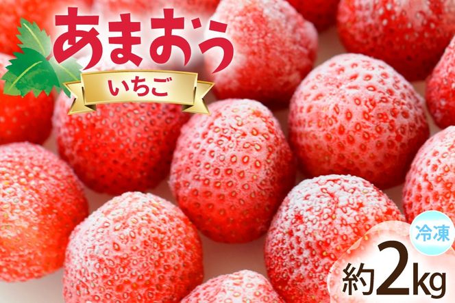 いちご 冷凍 あまおう 約2kg [地域商社ふるさぽ 福岡県 宇美町 um40bfw220008] フルーツ 果物 イチゴ 苺 くだもの ジャム シャーベット スムージー