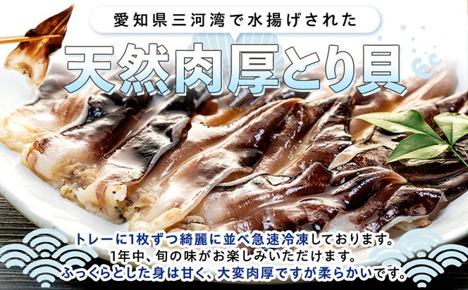 【天然】肉厚とり貝お刺身 とり貝【大９枚入り】５セット 岬だより
