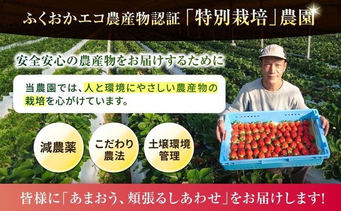 【農家直送！】【先行受付】糸島産 春 あまおう 280g × 4パック  (DXまたはGサイズ)   【2027年1月下旬以降順次発送】糸島市 / 後藤農園 [AML002] いちご 福岡