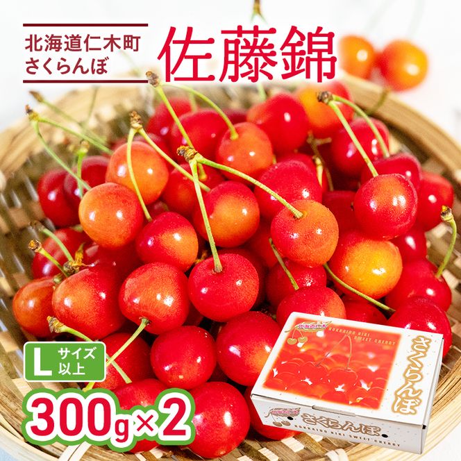 2027年発送 さくらんぼ 佐藤錦 600g (300g×2P) Lサイズ 北海道 仁木町　国産 旬のフルーツ 旬の果物 デザートサクランボ チェリー フルーツ 果物 果物類 仁木 [カムナビファーム]