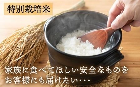 【全6回定期便】【☆畑直送☆限定販売！栽培期間中農薬不使用！】お 米 2kg & 野菜 7品 の セット 糸島市 / オーガニックナガミツファーム [AGE037]