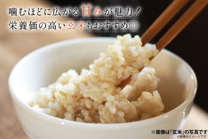 米 定期便 ひゃくまん穀「弘宝米」 玄米 30kg ×6回 総計 180kg [中西農場 石川県 宝達志水町 38601377] お米 ひゃくまん穀 美味しい 農家 直送 6ヶ月 180キロ 30キロ 石川 能登