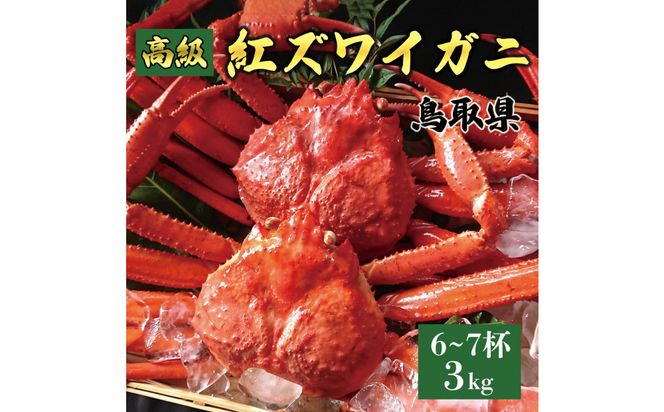 y挧khz1076.Y  gYCKjy䥂Łz3kg 6`7t 313726_BS084