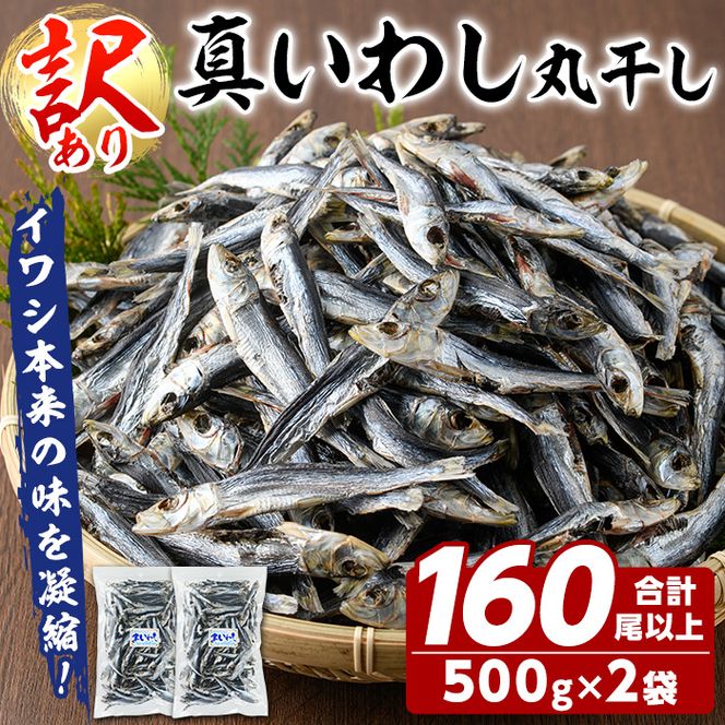 訳あり！真イワシ丸干し＜めざし＞(合計160尾以上・500g×2袋) 国産 鹿児島県産 阿久根市産 魚 魚介 水産 訳あり 訳アリ いわし 鰯 めざし マイワシ まいわし 真いわし 丸干し 丸干 チャック付き袋 【鈴木海産】akn091-02