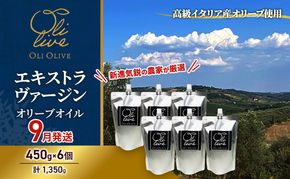 高級イタリア産 エキストラ・ヴァージン・オリーブオイル 450g×6個【2026年9月中旬より順次発送】調味料 油 オリーブ油 食用油 静岡県 袋井市