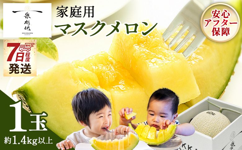メロン 家庭用 1玉入り [7日程度で発送]一果相伝マスク tn-0062