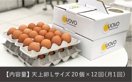 ★12回 定期便 ★ こだわり の 卵「天上卵」20個セット 《糸島》【おおはまファーム】 鶏卵 平飼い たまご 玉子 [AKH004]