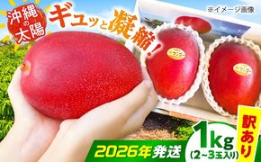 【2027年発送 先行予約】【訳あり】沖縄市産マンゴー「太陽のめぐみ」 1kg(2〜3玉) 南国フルーツ 産地直送 新鮮 沖縄県産 ギフト 沖縄市 / 比嘉マンゴー園[BCEW003]