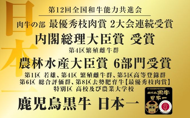 ＜容量選べる！＞鹿児島黒牛ウデスライス（計900g）・リブローススライスセット（計700g or 計1.05kg）　K127-009