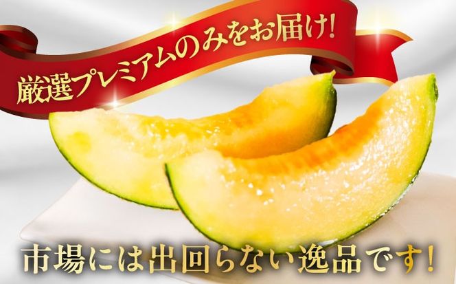 【2026年7月下旬〜発送】【平成新山メロンPREMIUM（とみちゃん厳選）】アールスメロン 2玉 / メロン めろん 果物 フルーツ / 南島原市 / うえだメロン園 [SAD004] 