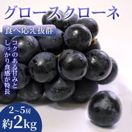 【圧巻の大粒】食べ応え抜群グロースクローネ 2～5房(約2kg) 1箱 グロースクローネ ぶどう フルーツ 高級 大粒 甘い 濃厚 ギフト 贈答用 家庭用 お取り寄せ 熊本県