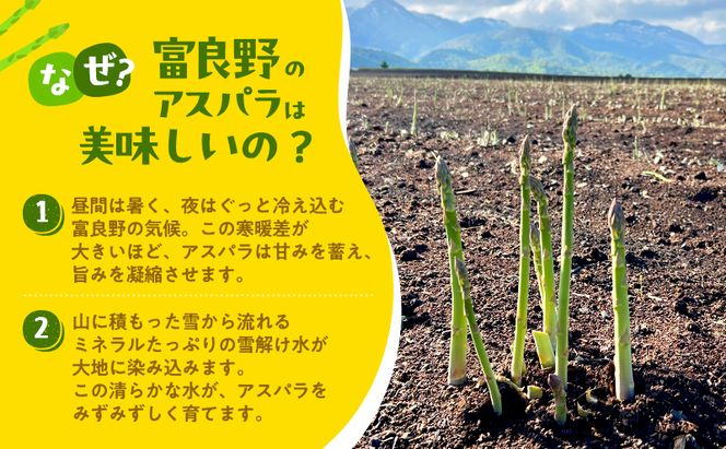 【2027年発送】ふらの産 採れたて グリーンアスパラ(M～Lサイズ混合)約2kg [清水農園] アスパラ アスパラガス 野菜 新鮮 甘い 北海道 富良野