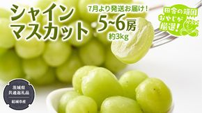 ふるさと納税 服 女 茨城県 つくばみらい市 オーダーメイド ポンチョ オリジナル レディース トップス ミドル丈 長袖 正装 リメイク 楽天市場】【ふるさと納税】オーダーメイド ポンチョ オリジナル