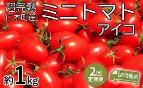 8・9月 2回発送[先行受付] 超完熟ミニトマト【アイコ】1kg 栽培期間中 農薬・除草剤不使用 サイズ混載 トマト ミニトマト アイコ 野菜 定期便 北海道 仁木町 [アイコファーム]