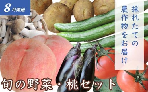 ［3回定期便］ 夏の味覚3回コース ［小布施屋］ 先行予約 フルーツ 果物 くだもの 野菜 やさい 数量限定 ネクタリン 桃 シャインマスカット ぶどう クール便 冷蔵 お楽しみ 3回お届け 長野県産 信州産 令和8年産 【2026年7月～10月発送】