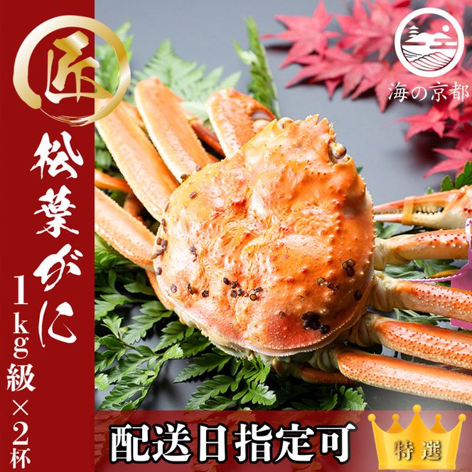 【配送日指定可】茹で松葉蟹 特大2杯（1,000g級） 蟹 カニ かに 松葉蟹 松葉ガニ ズワイガニ ボイル myz05 myz11 myz16