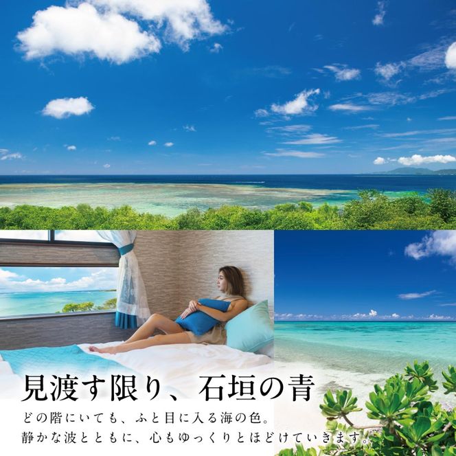 yꌧΊ_szy1݂ʑz Villa Vista ISHIGAKI hN[|i30,000~jVV-04