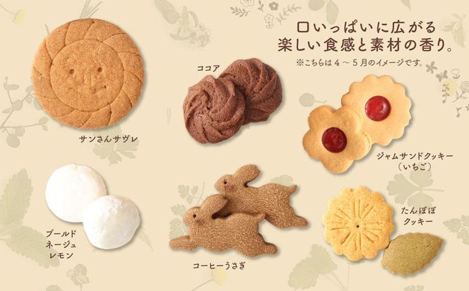 季節の焼き菓子ギフト＜M箱＞ 141305_DF12